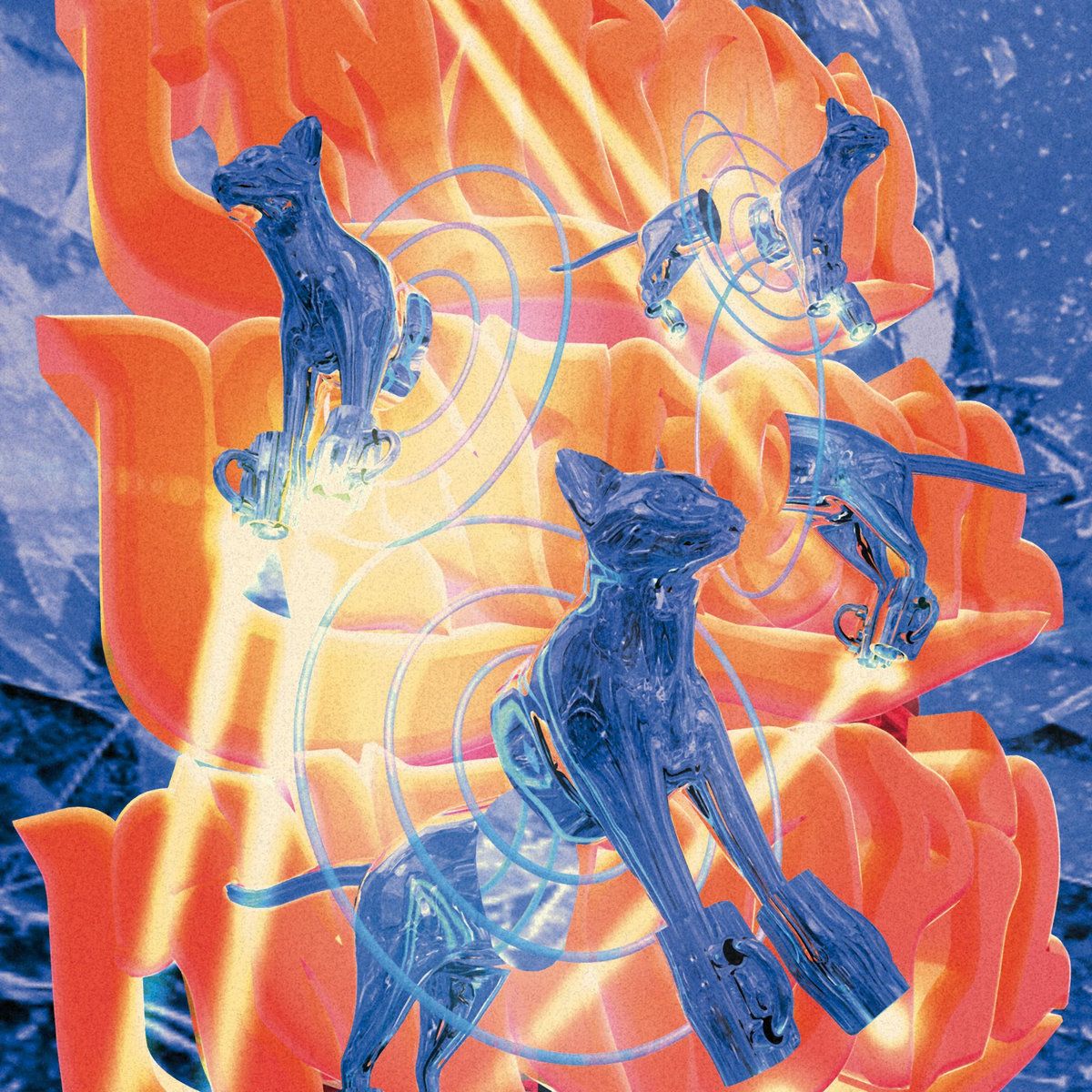 intropil cover